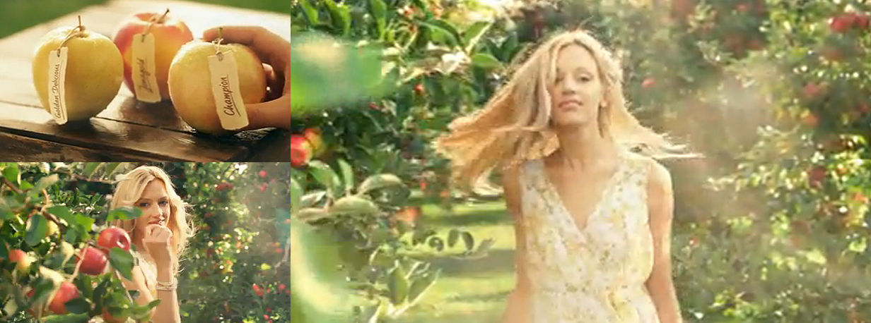 img_2011_12_05_152904_18145