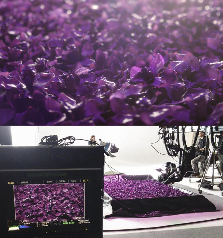 img_2015_09_23_100240_5365